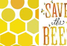 80 ευρωπαϊκοί οργανισμοί και ΜΚΟ ζητούν την προστασία της μέλισσας