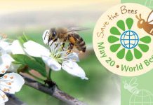 Παγκόσμια Ημέρα Μέλισσας η 20ή Μαΐου !