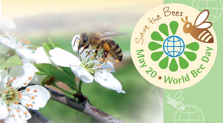 pagkosmia-imera-melissas-20-maiou