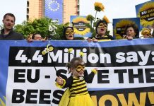 Η ΕΕ απαγορεύει τη χρήση των νεονικοτινοειδών εντομοκτόνων που βλάπτουν τις μέλισσες