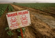 Ποια είναι τα τρία επικίνδυνα εντομοκτόνα που απαγόρευσε η ΕΕ;