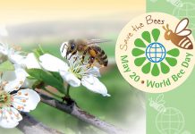 Παγκόσμια Ημέρα Μέλισσας η 20η Μαΐου