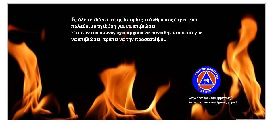 melissokomoi-dasikes-pirkagies