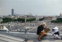 Αστική μελισσοκομία στο Παρίσι