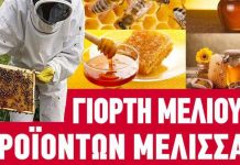 Γιορτή μελιού και προϊόντων μέλισσας στο μετρό συντάγματος (26-28 Οκτ. 2018)