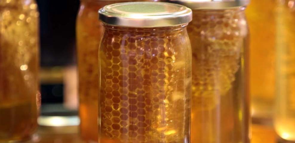 sinedrio-ellinikou-meliou