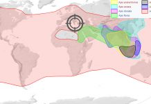 Οι Φυλές της Ελληνικής Μέλισσας Apis Mellifera