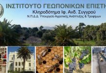 Ελληνική παραδοσιακή μελισσοκομία: Μέθοδοι και συμβολή στις διεθνής εξελίξεις