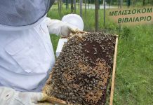 Μελισσοκομικό Βιβλιάριο: η διαδικασία απόκτησής του