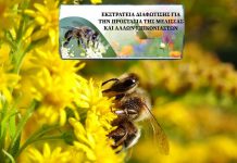 S.O.S ΣΩΣΤΕ ΤΟΥΣ ΕΠΙΚΟΝΑΣΤΕΣ