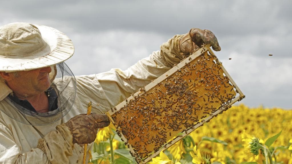 polisi-meliou-paragogoi-katanalotes