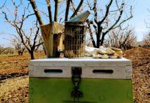 BeePathNet "Ένα ευρωπαϊκό δίκτυο που ενθαρρύνει οικολογικές ορθές πρακτικές στην αστική μελισσοκομία "