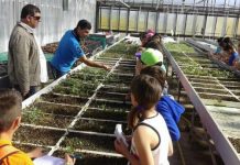 Με αρωματικά και μελισσοκομικά φυτά αναβαθμίζεται το Νότιο Αιγαίο