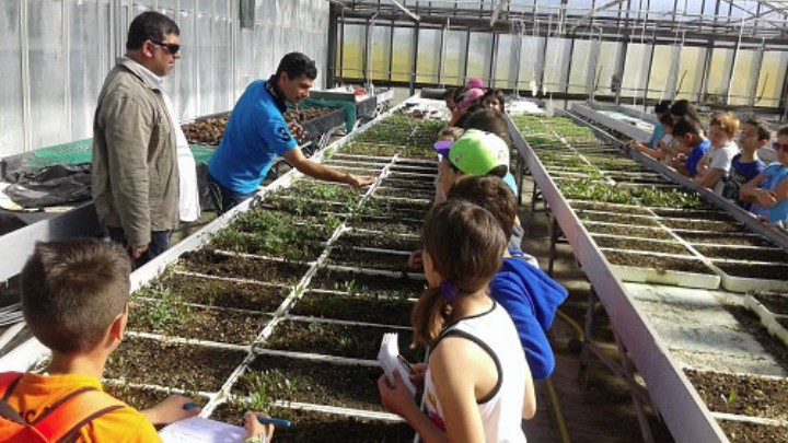 melissokomika-fyta-notio-aigaio