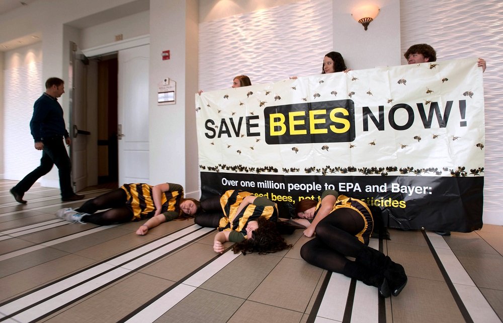 savebeesnow