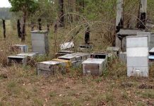 Ο Σύλλογος Μελισσοκόμων Καστοριάς θα καταγράψει τα εγκαταλειμμένα μελισσοκομία