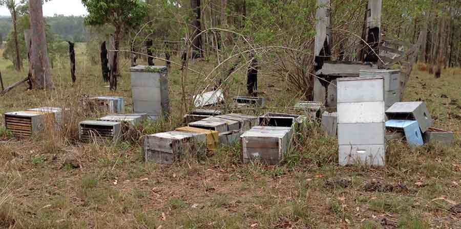 sillogos-melissokomon-kastorias-draseis