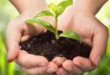 Ο Μελισσοκομικός Σύλλογος Σύρου διοργανώνει δεντροφύτευση (07/04/19)