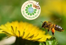 Παγκόσμια Ημέρα Μέλισσας 20 Μαΐου