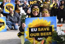 Ευρωπαϊκή Πρωτοβουλία Πολιτών: Η Επιτροπή καταχωρίζει την πρωτοβουλία «Σώστε τις μέλισσες!»