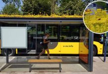 Ολλανδική πόλη μετέτρεψε τις στάσεις λεωφορείων της σε στάσεις για ..μέλισσες!