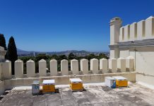 Μελίσσια για πρώτη φορά στη στέγη δημόσιου κτηρίου στην Ελλάδα