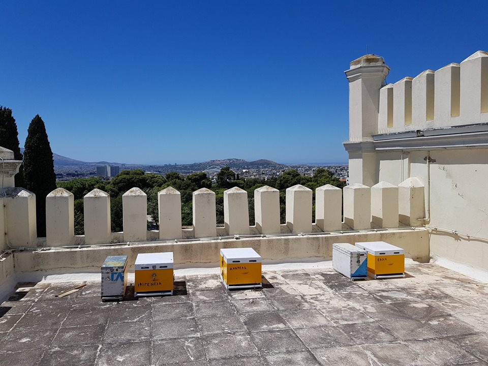 ige-melissia-se-stegi