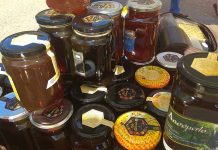 Μειωμένη κατα 50% η παραγωγή μελιού στην Ξάνθη