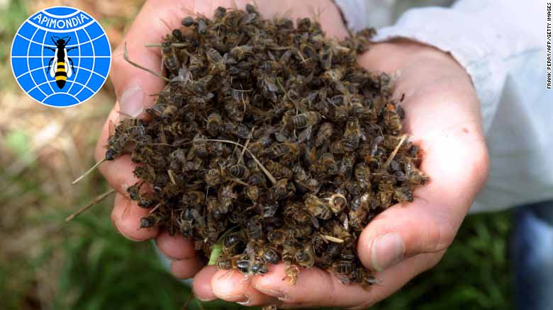 mitroo-katagrafis-toksikon-simvanton