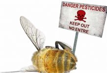 Τρικαλα: Μέτρα προστασίας των μελισσών κατά τη διάρκεια ψεκασμών με γεωργικά φάρμακα.