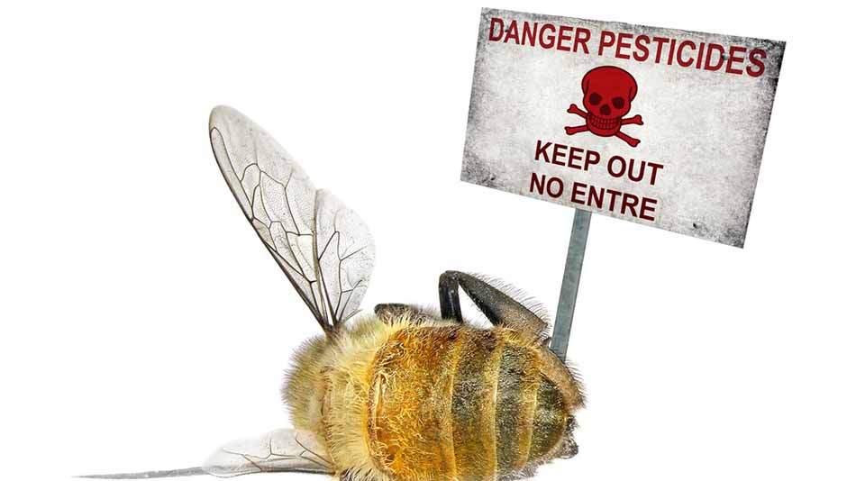 psekasmoi-fytofarmaka-melisses