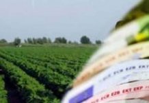 Περιφέρεια Αττικής: Πρόσκληση για επενδύσεις στη μεταποίηση/εμπορία γεωργικών προϊόντων