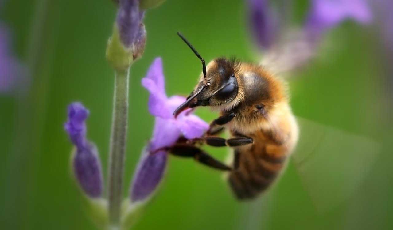 melissa-simantiko-on-planiti