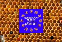 Δημιουργία Ένωσης μελισσοκόμων για τις ευρωπαϊκές μέλισσες