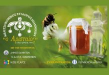 ΙΩΑΝΝΙΝΑ: 5η Γιορτή Μελιού & προϊόντων κυψέλης (7-10 Νοεμβρίου 2019)