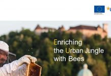 Η συνεισφορά των μελισσών και της επικονίασης στη βιοποικιλότητα και την οικονομία