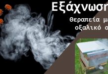Εξαχνωτής Οξαλικού Οξέος: Οδηγός Αγοράς & Χρήσιμες πληροφορίες