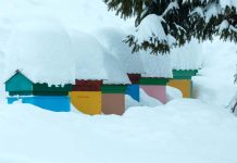 Μελισσοκομικοί Χειρισμοί Δεκεμβρίου