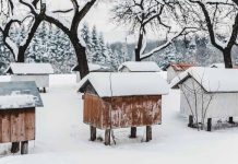 Μελισσοκομικοί Χειρισμοί για ασφαλές ξεχειμώνιασμα
