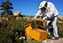 Έγκριση πρωτοβουλιών των Μελισσοκομικών Συνεταιρισμών στα μικρά νησιά του Αιγαίου Πελάγους