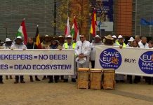Διαμαρτυρία μελισσοκόμων στις Βρυξέλλες
