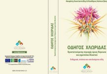 e-Book: Οδηγός Χλωρίδας Όρους Πάρνωνα και υγροτόπου Μουστού