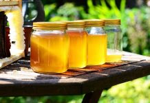 Μελισσοκομική Ημερίδα στην Καρδίτσα (29 Φεβ. 2020)