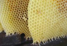 Χίλιες και μία χρήσεις του κεριού