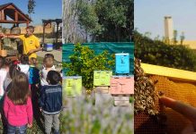 Μελισσοτουρισμός, μια εναλλακτική και ευχάριστη δραστηριότητα-πρόκληση για απαιτητικούς πολίτες και ταξιδιώτες!