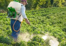 Ιωάννινα: Δύο ημερίδες για τη σωστή χρήση των γεωργικών φαρμάκων