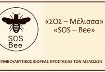 SOS – Bee: Δράση για την προστασία της μέλισσας απο το Μαρφοβούνι Καρδίτσας