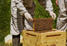 Οικονομική στήριξη της νομαδικής μελισσοκομίας