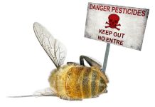 Περιφέρεια Πιερίας: Ενημέρωση για προστασία των μελισσών από ψεκασμούς.