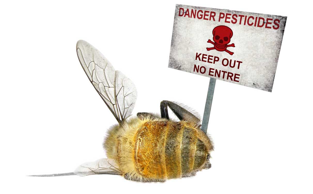 enimerosi-psekasmous-melisses